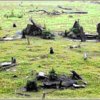 Brazilské Stonehenge