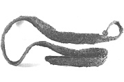 Rituálně deformovaný železný meč v železné pochvě, žárové pohřebiště Ponětovice